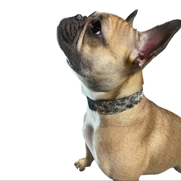 Going on a safari cheetah bling collar - Picture 8 of 8